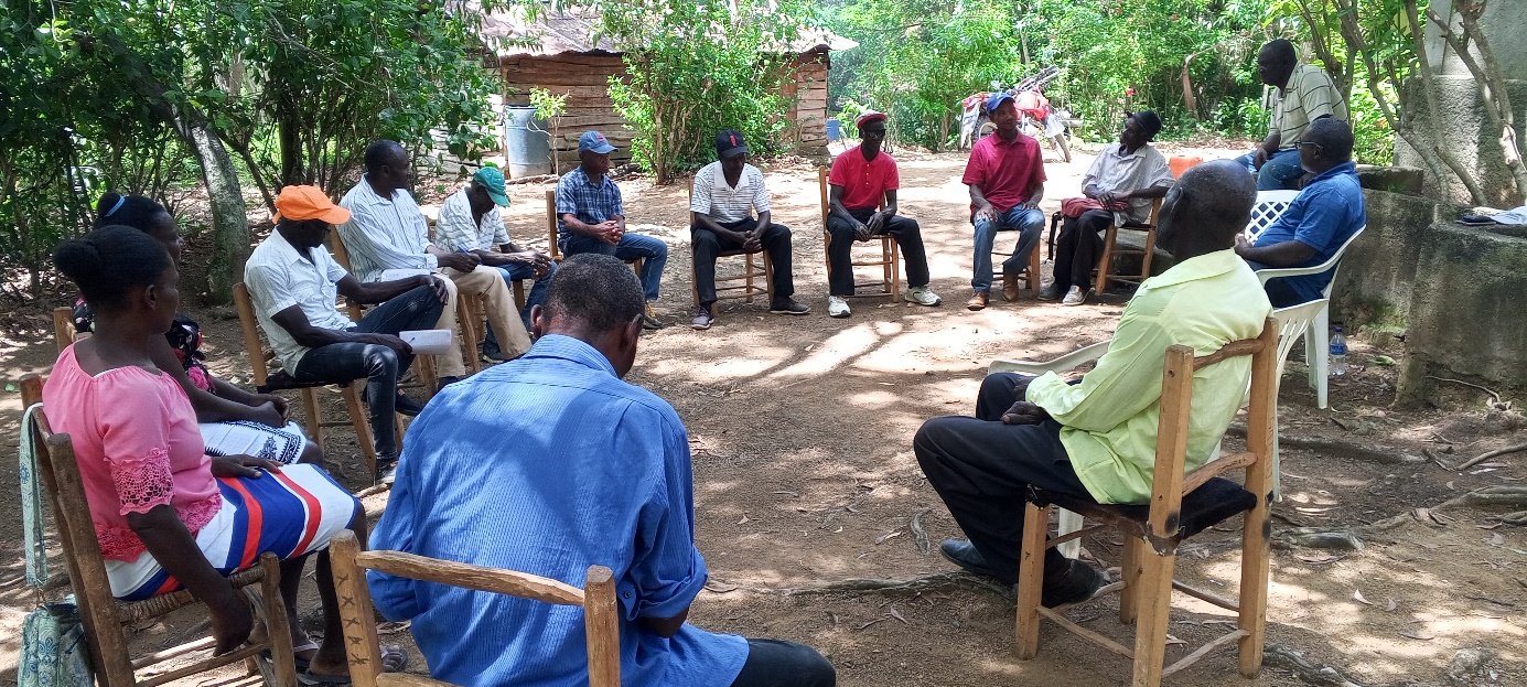 Formation des planteurs de manioc à Grande-Savane